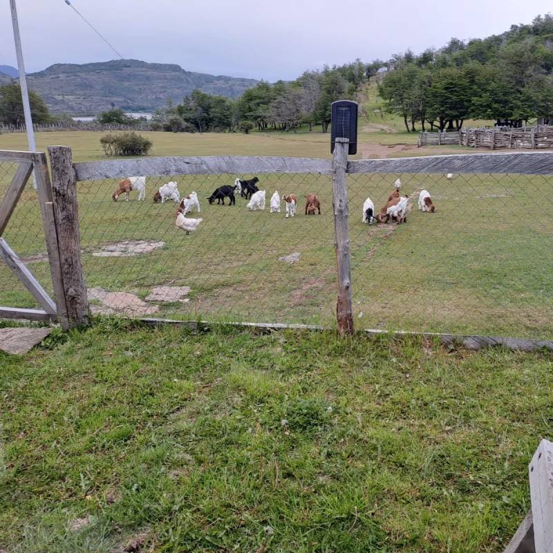 Las Cascadas - Camping, Tinajas y Cabalgatas - Villa Cerro Castillo (14)