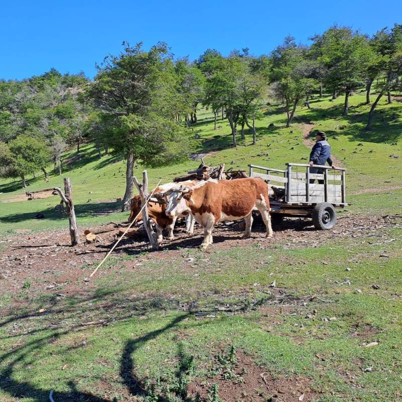 Las Cascadas - Camping, Tinajas y Cabalgatas - Villa Cerro Castillo