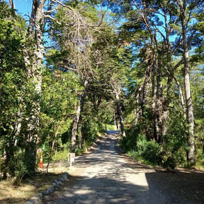 Camping Los Coihues - Futaleufú