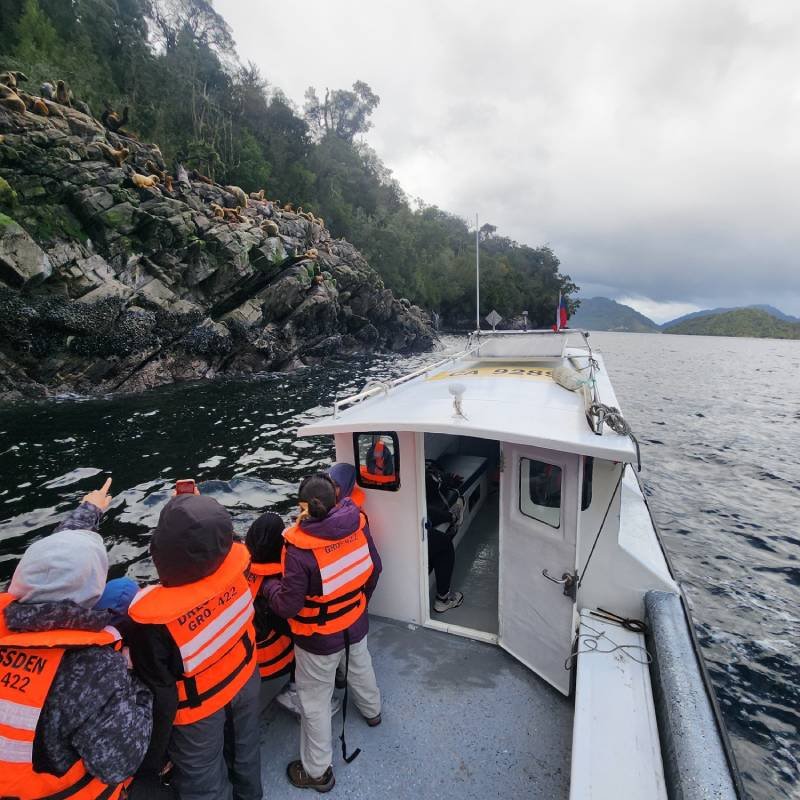 Dressden Boat - Hornopirén