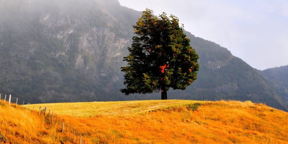 Otoño en Carretera Austral